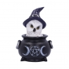 Owls Brew