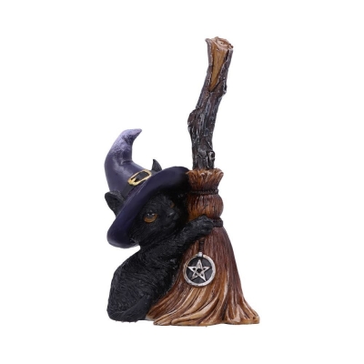 Familiar Broom Cat