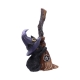 Familiar Broom Cat