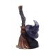 Familiar Broom Cat