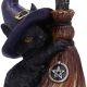 Familiar Broom Cat