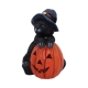 Trick or treat